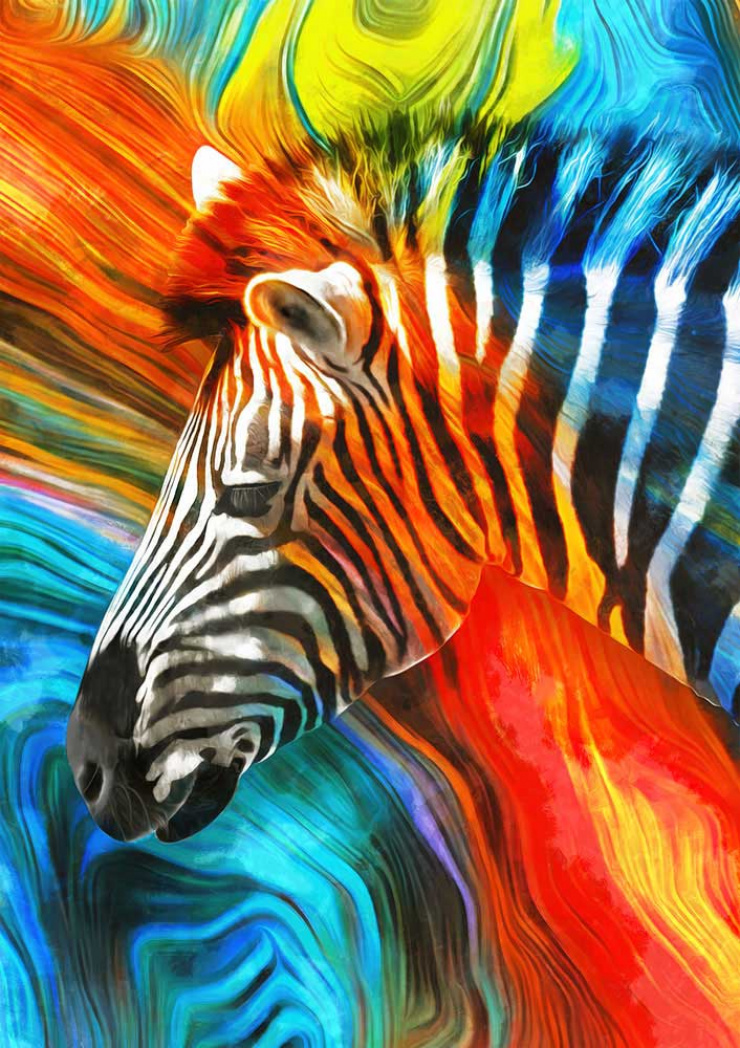 Quadro Zebra Color