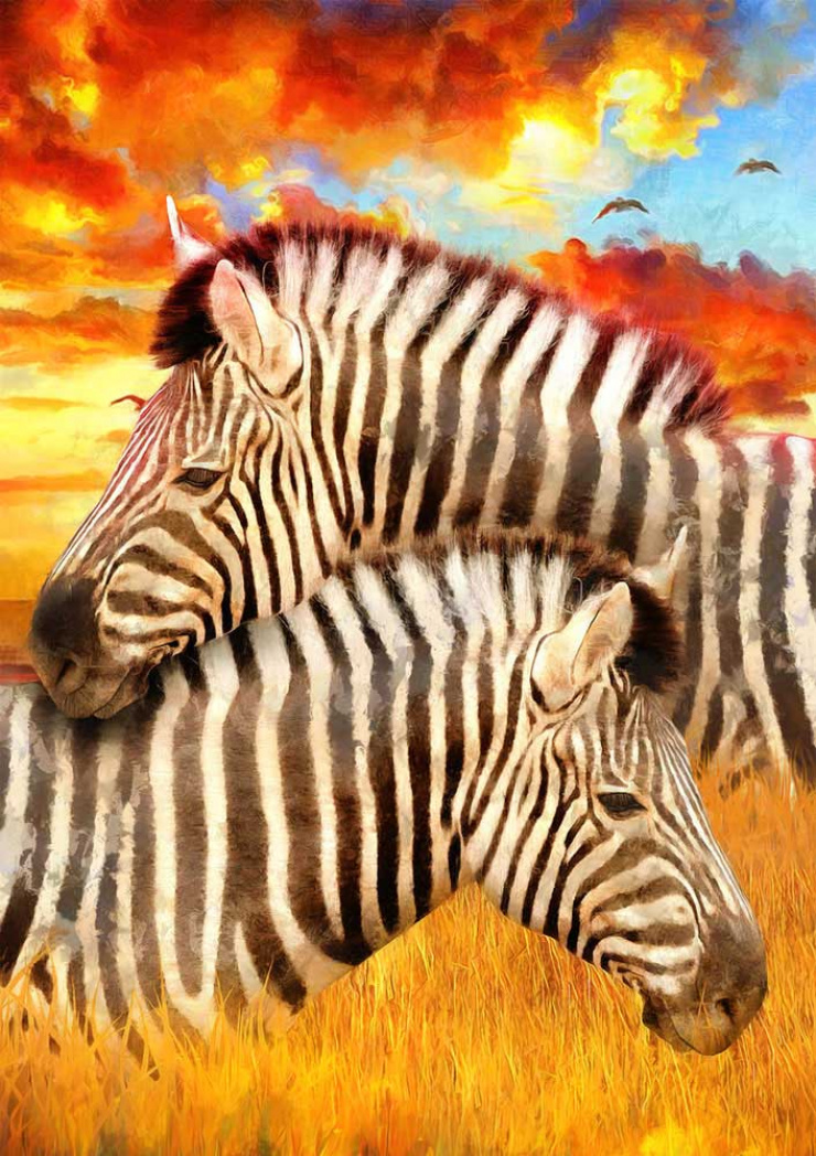 Quadro Zebras Coloridas