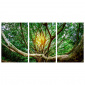 Tela Árvore da Vida - Kit de 3 Telas Canvas