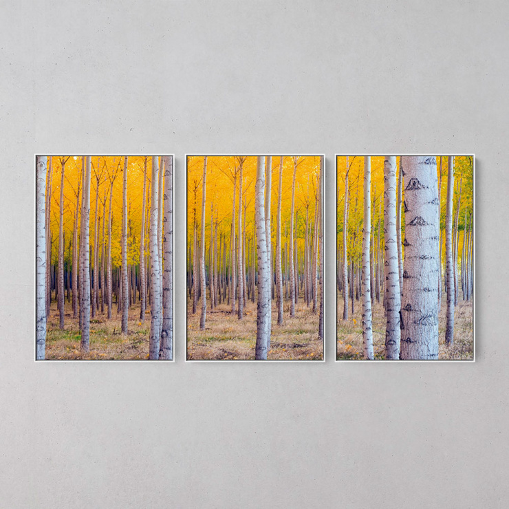 Tela Árvores Amarelas - Kit de 3 Telas Canvas