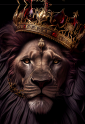 Tela Canvas Leão Grande Rei