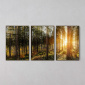 Tela Floresta Amanhecer - Kit de 3 Telas Canvas