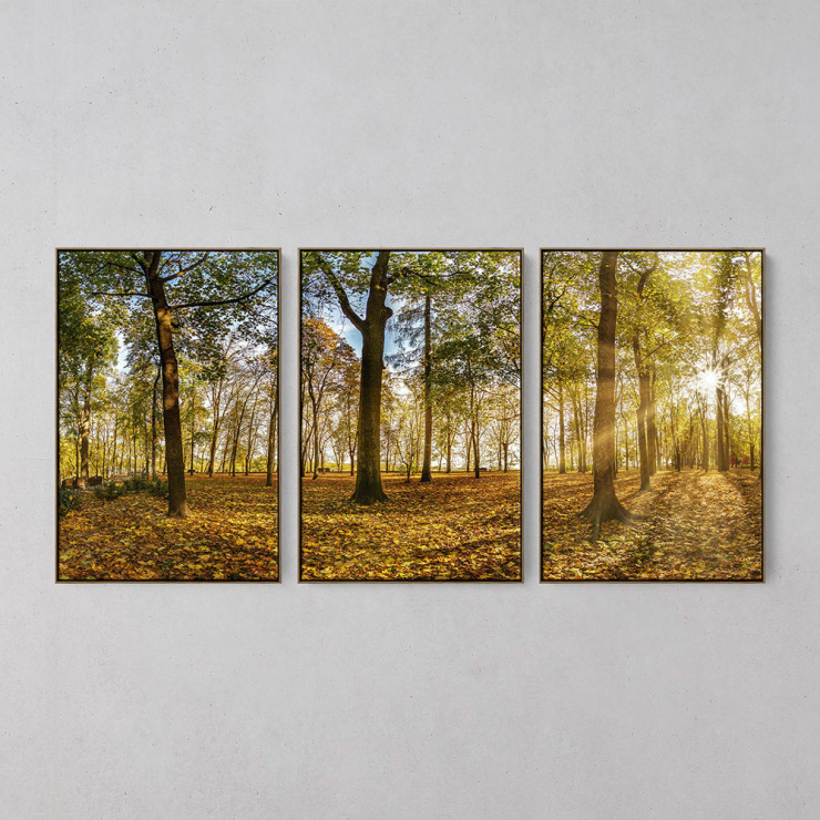 Tela Floresta Folhas Outono - Kit de 3 Telas Canvas