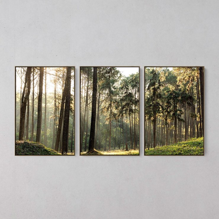 Tela Floresta Tranquila - Kit de 3 Telas Canvas