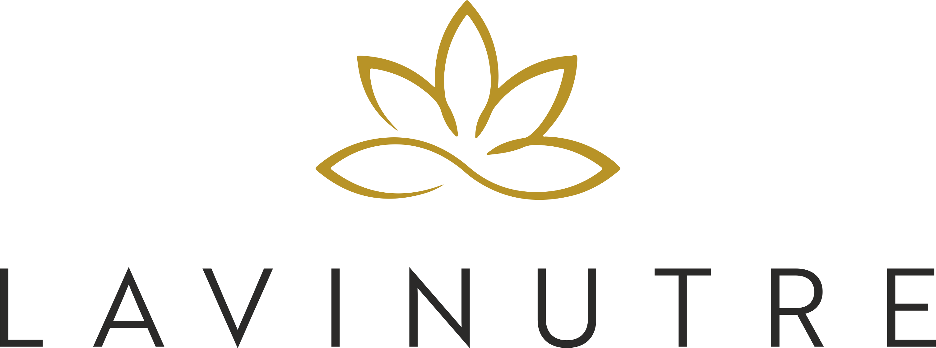 LAVINUTRE IMPORTACAO E EXPORTACAO LTDA