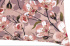 Capa De Almofada Colorida Estampada Rose Floral 55 x 35