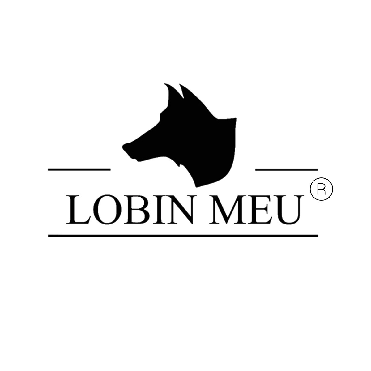 LOBIN MEU LTDA