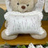 Almofada Decorativa Bordado Lavanda Baby 400 Fios 4499