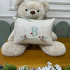Almofada Decorativa Lunenê Baby Benício 9509