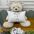 Almofada Decorativa Lunenê Baby Bichinho 9500
