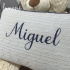 Almofada Decorativa Lunenê Baby Miguel 9529