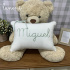 Almofada Decorativa Lunenê Baby Miguel 9602