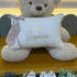 Almofada Decorativa Lunenê Baby Sophia 9100