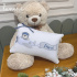 Almofada Personalizada Urso Aviador 200 Fios 4578