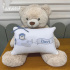 Almofada Personalizada Urso Aviador 200 Fios 4578