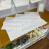 Fralda para Boca 04 Peças Jardim das Borboletas Antonela 4684