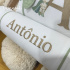 Kit Almofada 02 Peças Decorativa Lunenê Baby Antônio 4546