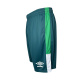 Calção Umbro Chapecoense Treino Atleta 2023 Verde