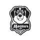 Camisa Penalty Magnus Futsal Of Aquecimento Torcedor