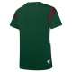 Camiseta Puma Palmeiras FTBL Archive