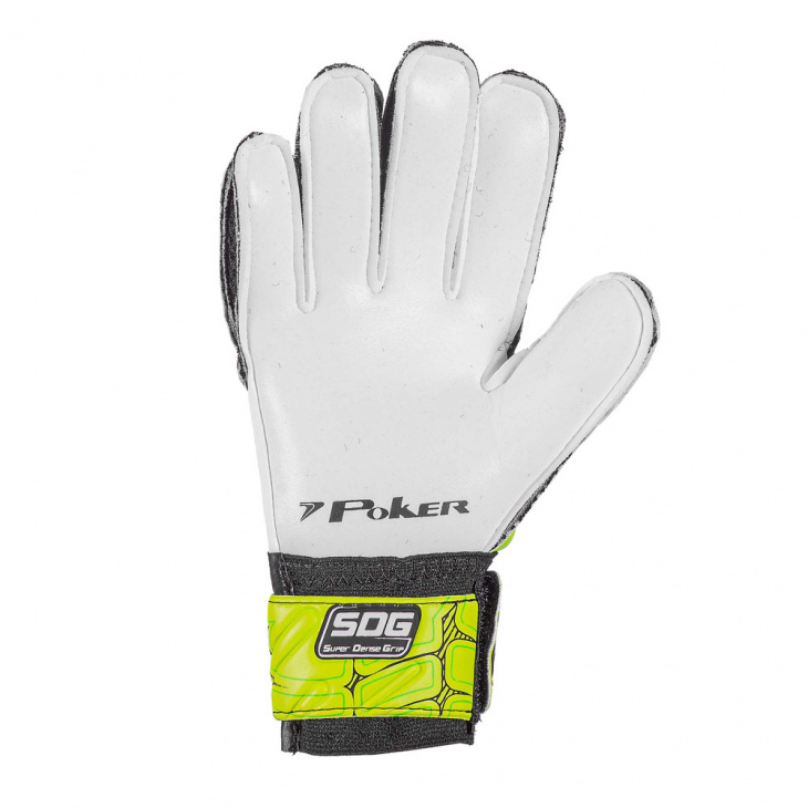 poker champion 8 semi profissional - Mania de Futsal