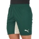 Shorts Puma Palmeiras Away II