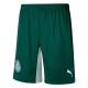 Shorts Puma Palmeiras Away II