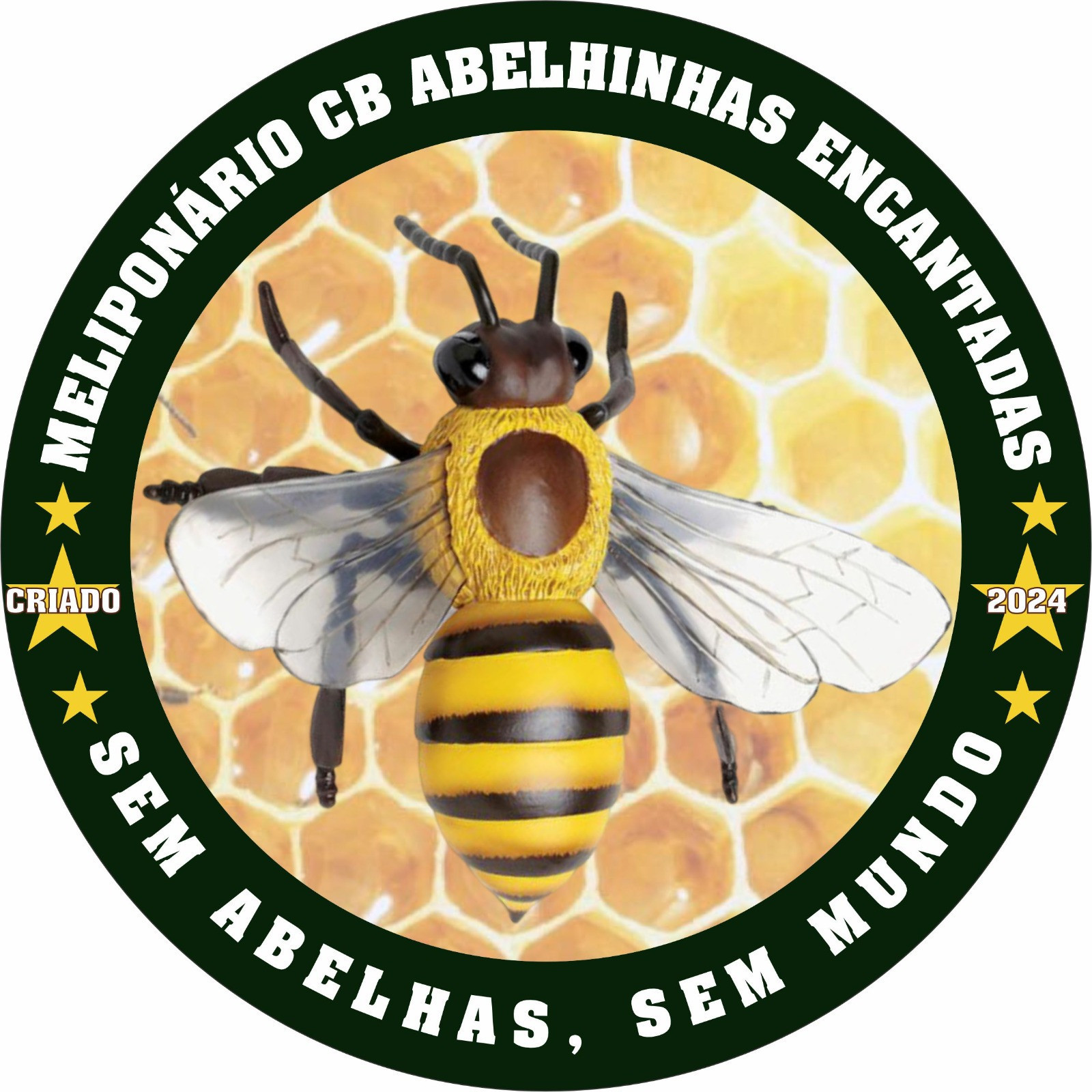 Carlos Augusto Aparecido Bueno