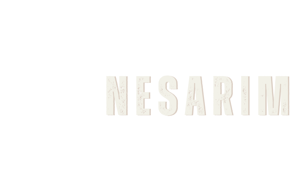 Nesarim Shoes