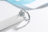 Anel Elegante Cristal em Prata 925 Esterlina - Regulável