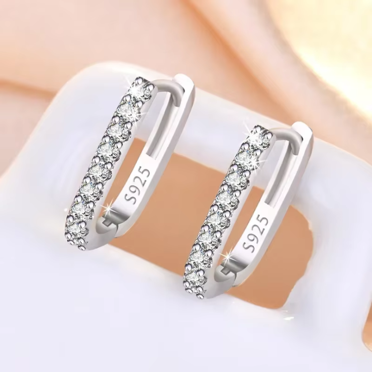Brinco Argola Cravejada em Prata 925 Esterlina