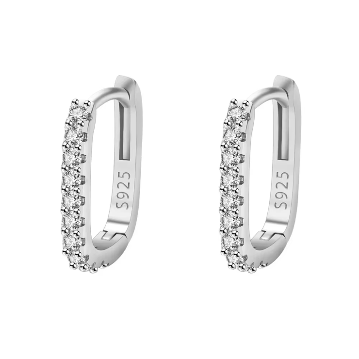 Brinco Argola Cravejada em Prata 925 Esterlina