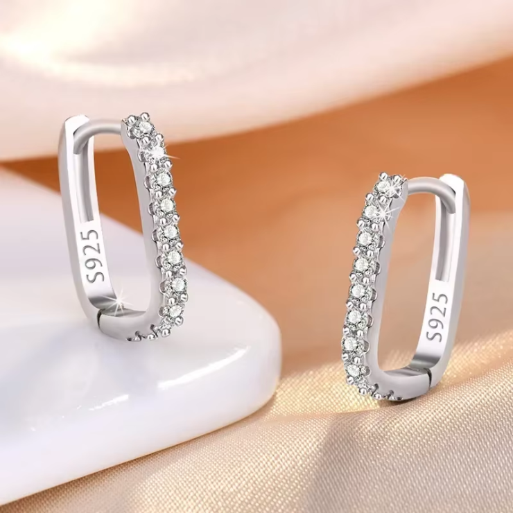Brinco Argola Cravejada em Prata 925 Esterlina