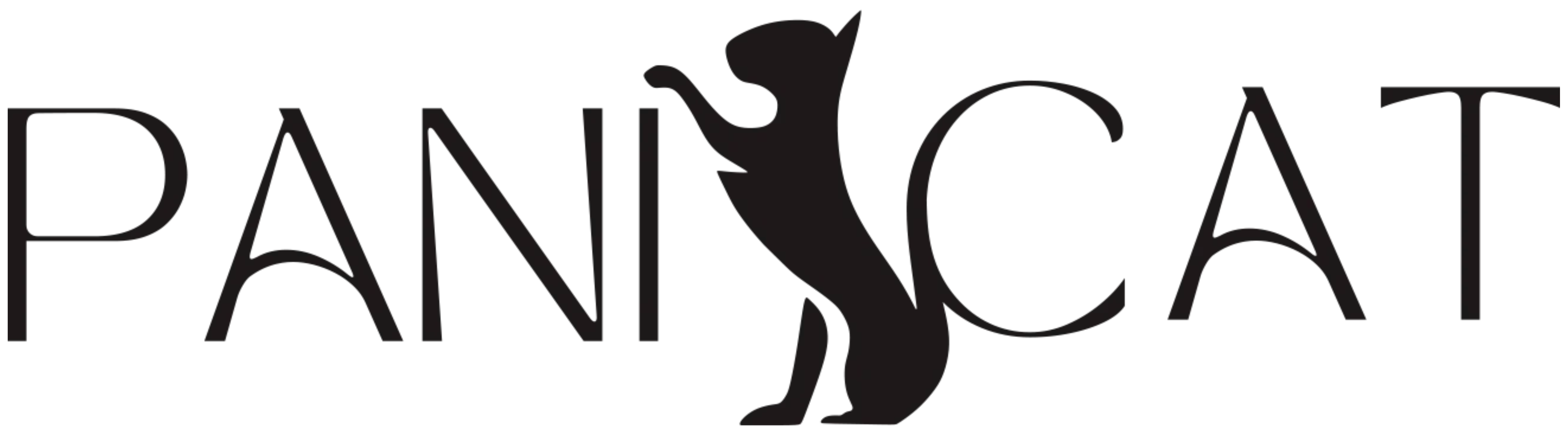 INDUSTRIA PAULISTA DE CONFECCAO LTDA