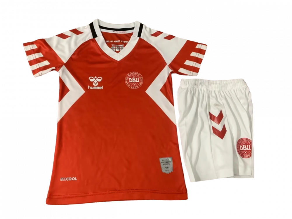 Camisa de time infantil da Dinamarca Home - Pequeno Craque