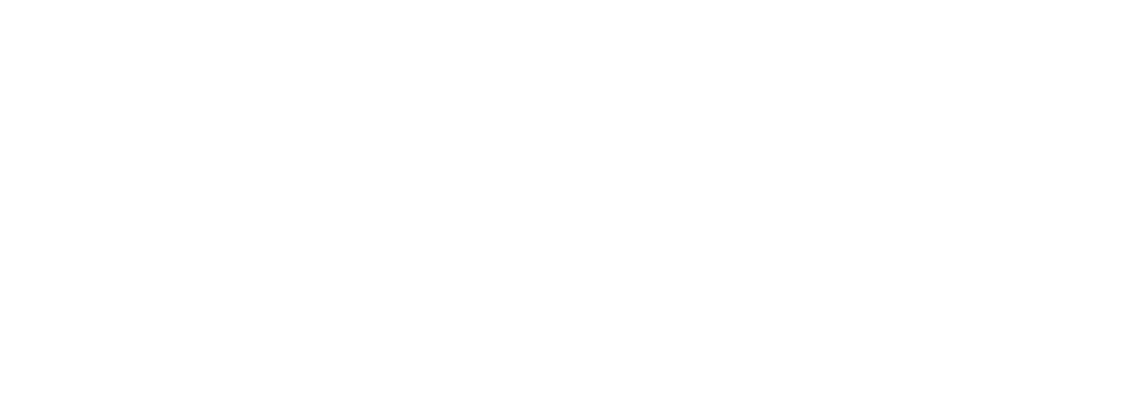 Juliana Muller Ribeiro