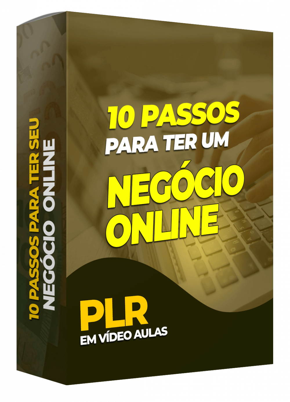 Curso Plr 10 Passos Para Ter Um Negócio Online Plr Store Plr Store 8531