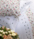 Esplendore Roupa De Cama - Queen - Percal 250 Fios - 100% Algodão - 4 Peças - Branco