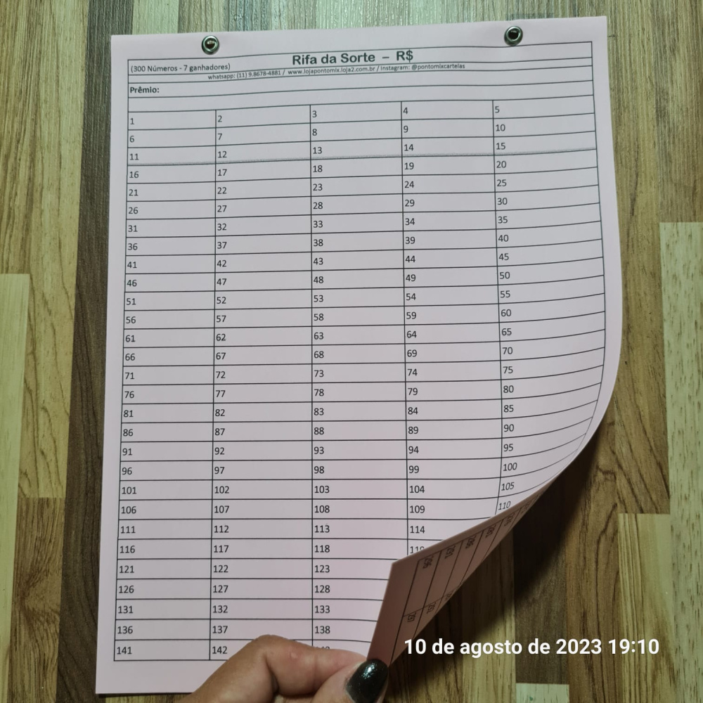 Cartela de Rifa com 300 Números - 1 ou mais ganhadores (3055) - Ponto ...