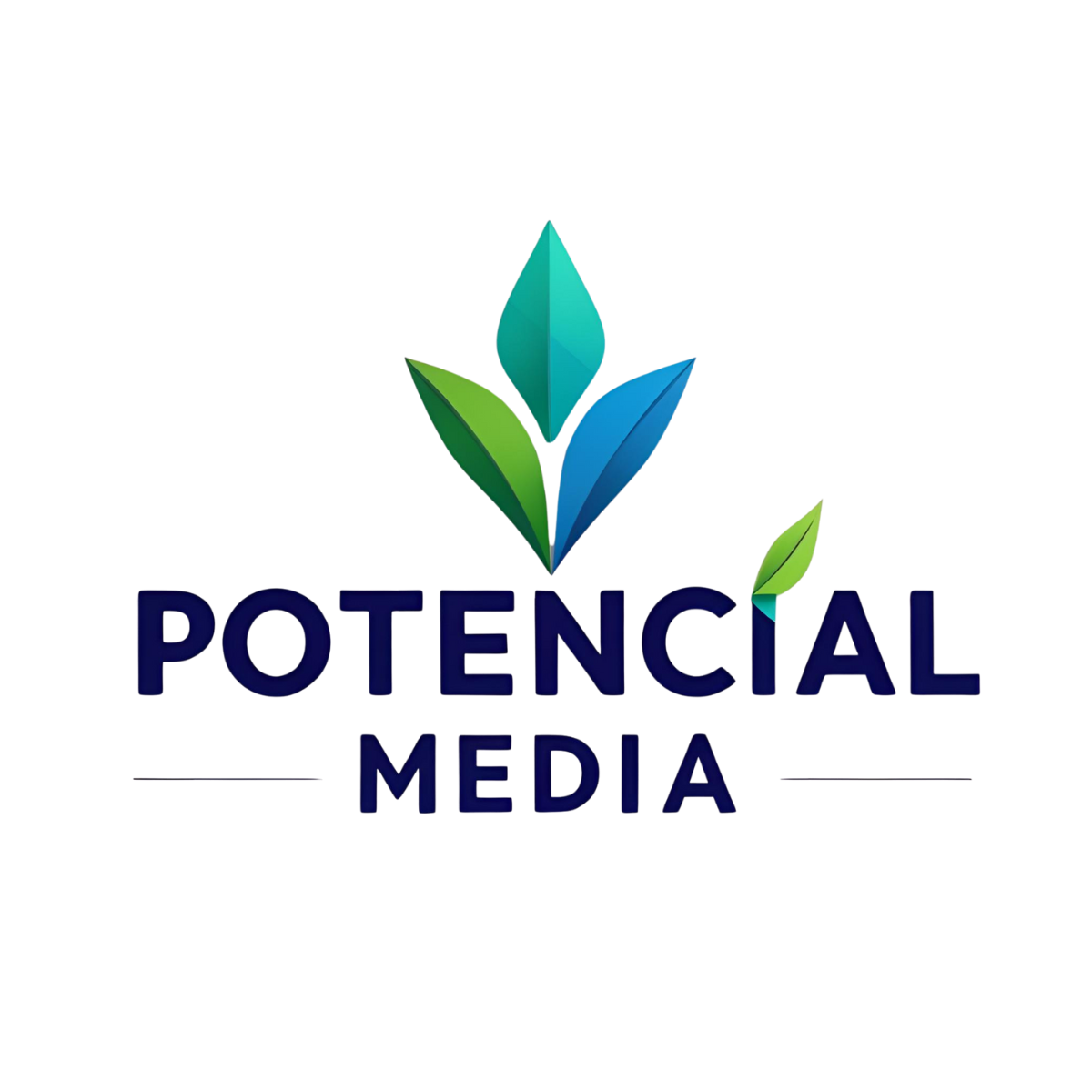 POTENCIAL MEDIA