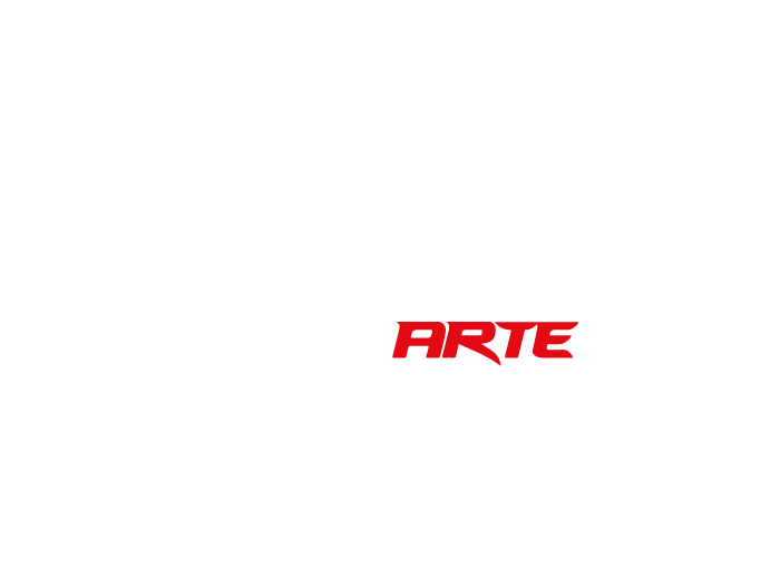 QUALIDADE MOTOARTE LTDA