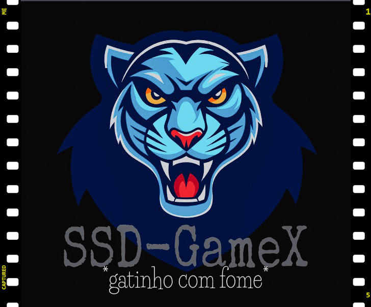 SSDGamex