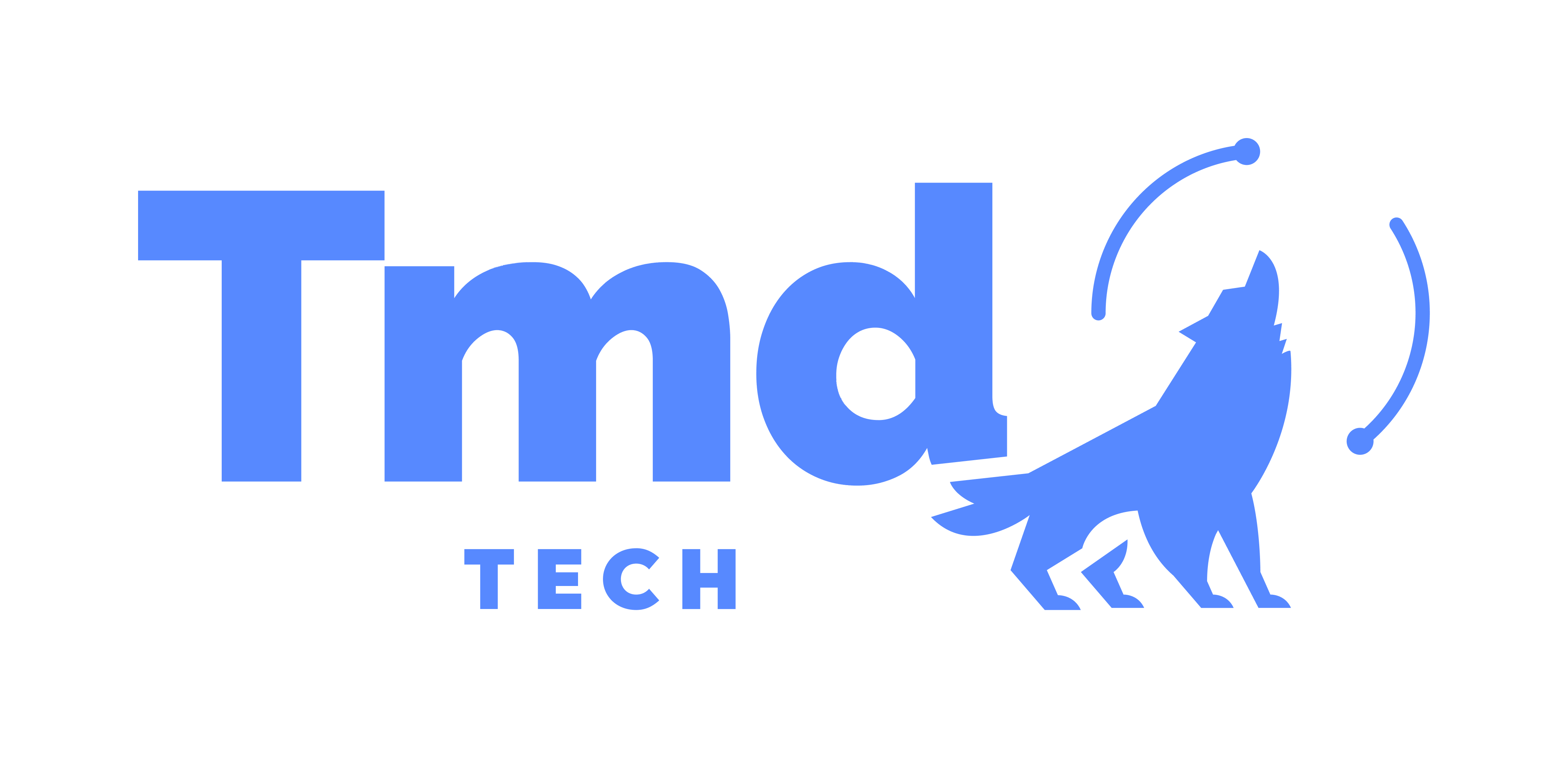 TMD TECH
