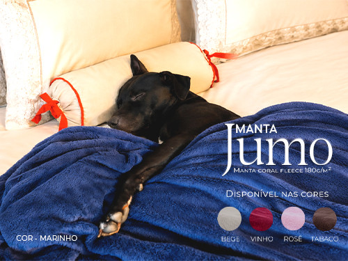 Home 4 - Manta Jumo