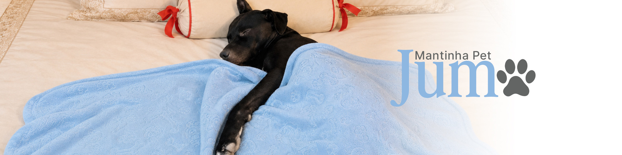 Home 4 - Mantinha pet Jumo