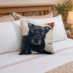 Almofada Decorativa Jumo Suede 45cm x 45cm | Com Refil de Silicone