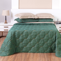 Cobre Leito Bordado Queen Percal 230 Fios Supreme 3 Peças Verde