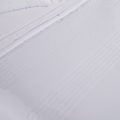 Cobre Leito Queen Dupla Face 200 Fios Toque de Algodão 3 Peças Premier Branco