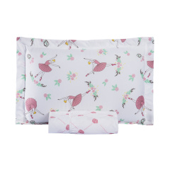 Jogo de Cama Solteiro Dupla Face 200 Fios Hipercal 02 Peças Ballet