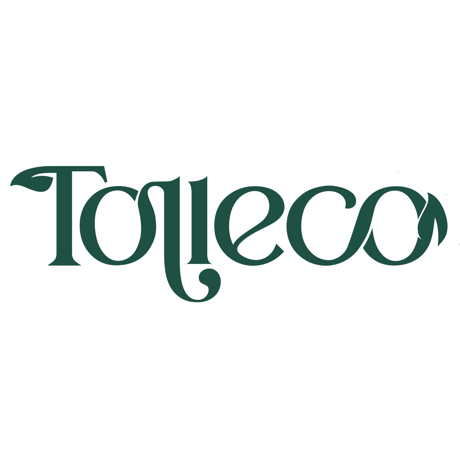 Tolleco Comércio LTDA.
